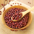 Wholesale High Quality Dried Adzuki Beans / Azuki Beans